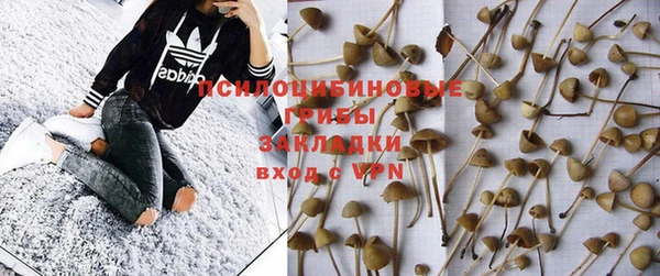 прущая мука Иннополис