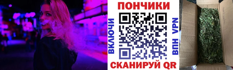 Конопля семена  блэк спрут ТОР  Талица 